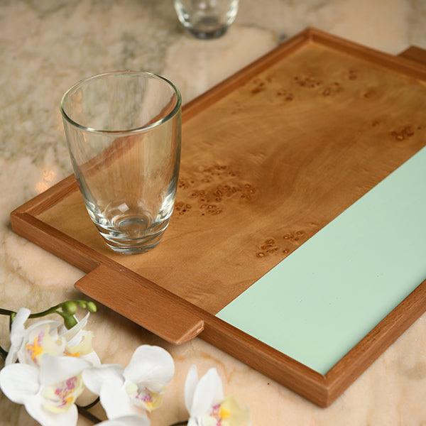 Coloured Rectangular Root tray - mint